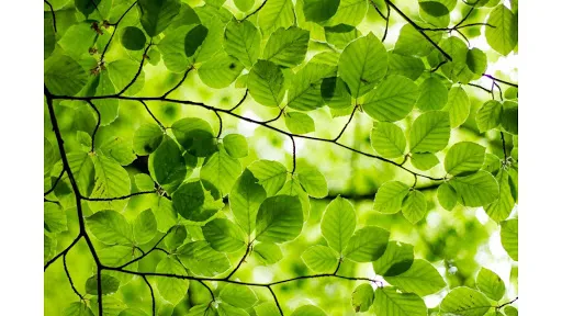 Cap emploi Loire - Saint Etienne à Saint-Etienne