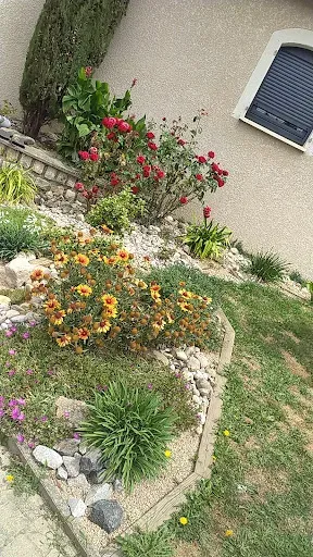 Cfm Le Ruban Vert à 42000 Saint-Étienne