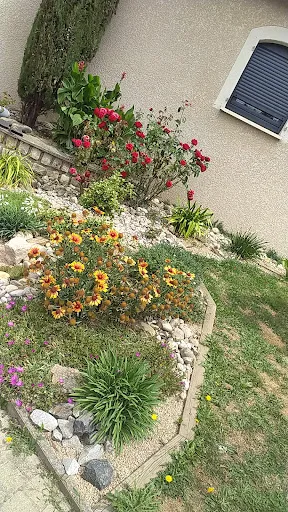 Cfm Le Ruban Vert à Saint-Etienne