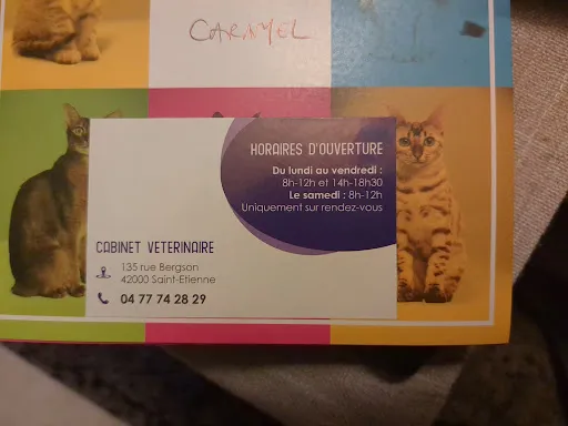 Clinique vétérinaire à Saint-Etienne