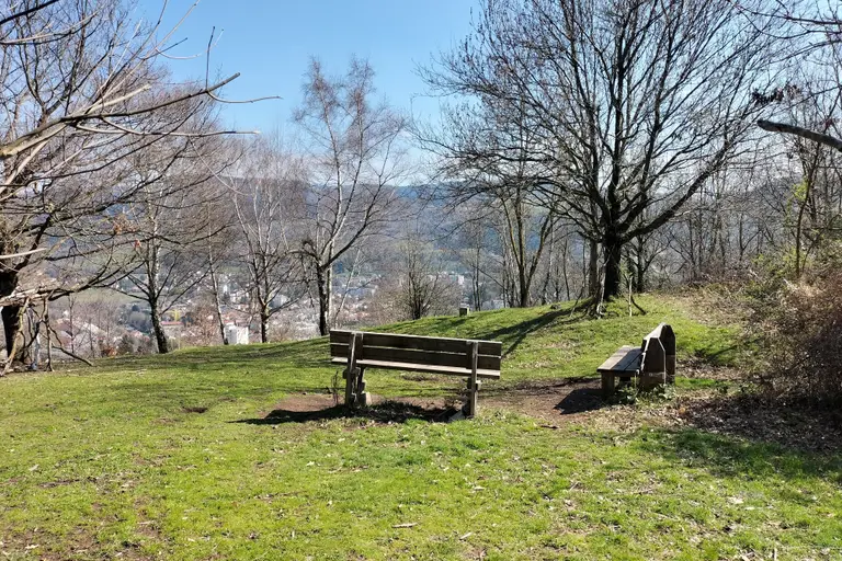 Visite découverte du parc du Bois d'Avaize à Saint-Étienne