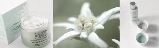 L'Antidote à Saint-Etienne