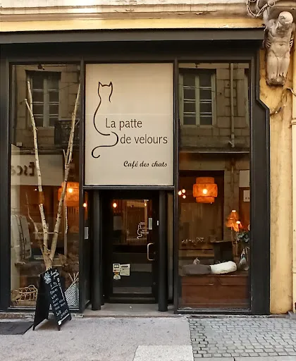 La patte de velours à Saint-Etienne