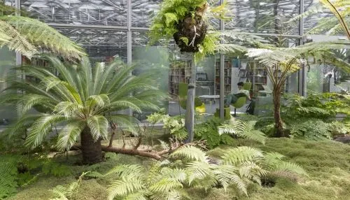 Médiathèque et Matériauthèque de l'Ecole supérieure d'art et design (ESADSE) et de la Cité du design à Saint-Etienne