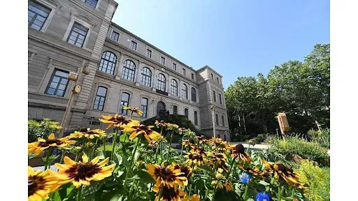 Musée d'Art et d'Industrie à Saint-Etienne