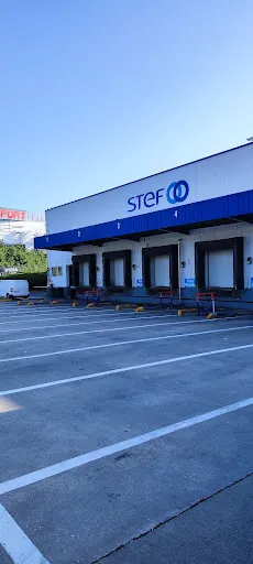 STEF Saint Etienne à Saint-Etienne