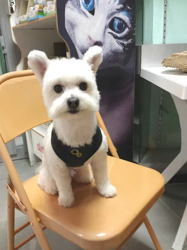 Virot Valérie à Saint-Etienne